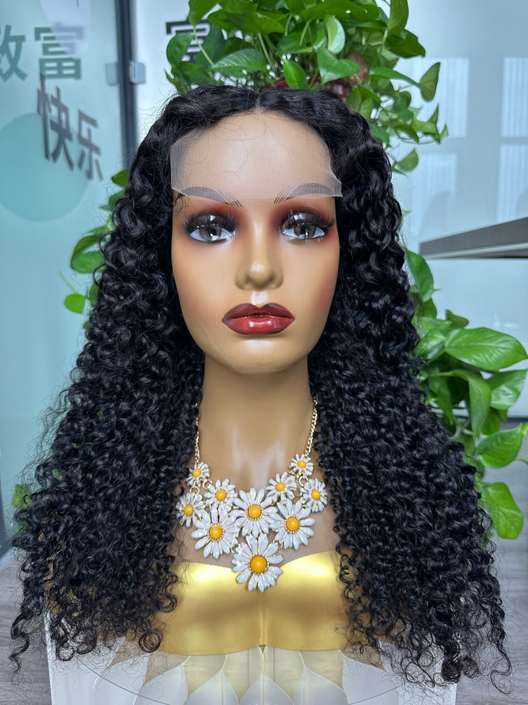 Virgin Hair 4x4 Closure Transparent lace Wig 180% - Curly #1B