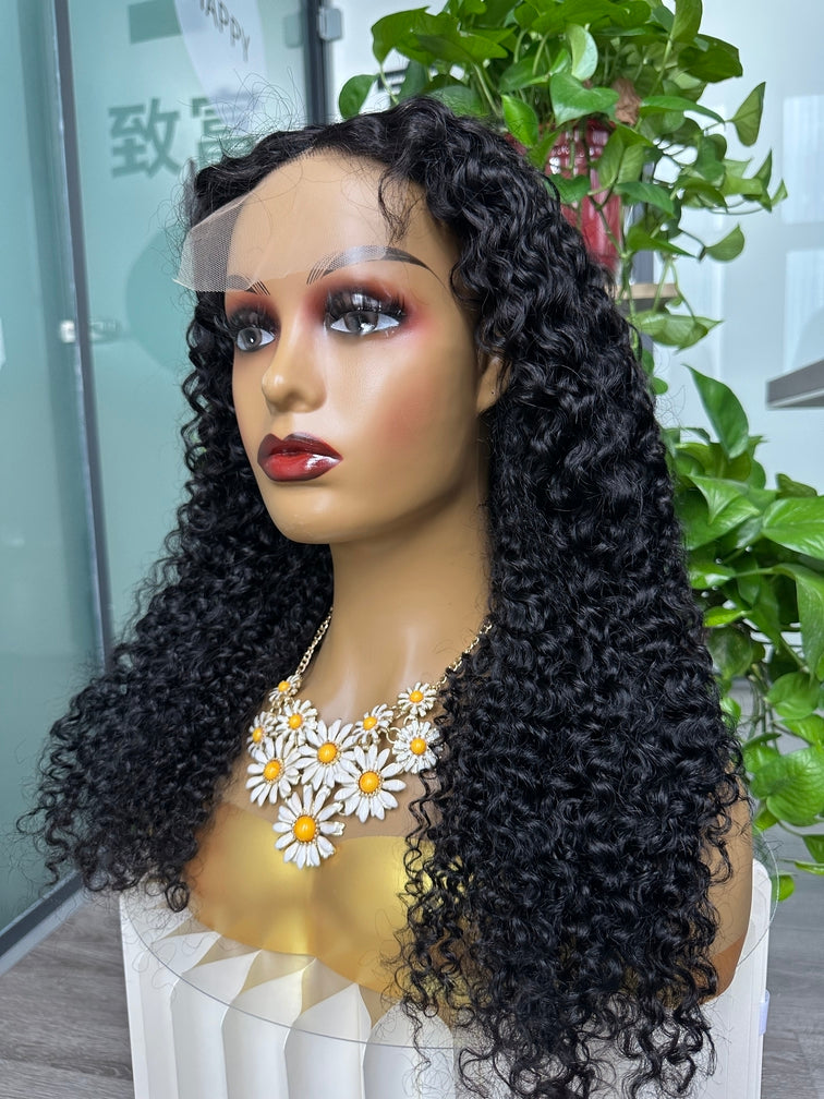Virgin Hair 4x4 Closure Transparent lace Wig 180% - Curly #1B